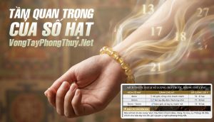 Nên Đeo Bao Nhiêu Viên Trong Vòng Tay Phong Thủy? Giải Mã Ý Nghĩa Số 7, 9, 13, 18